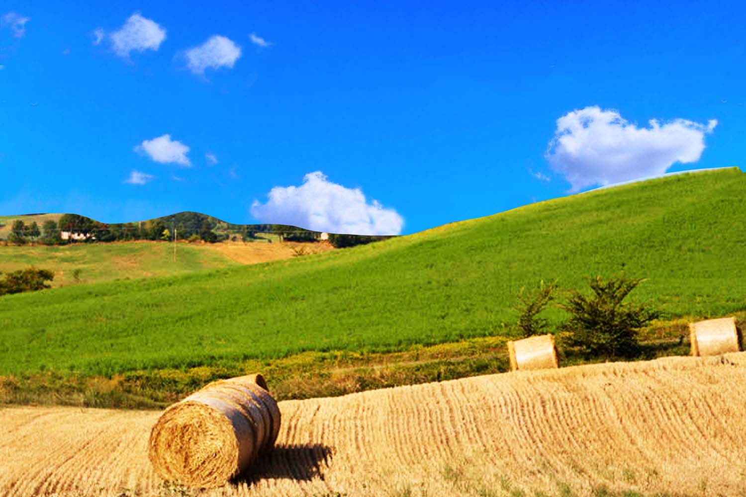 Pastai-in-emilia